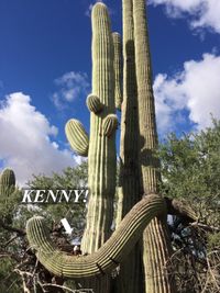 20210100 - Kenny op Saguaro-2 WS